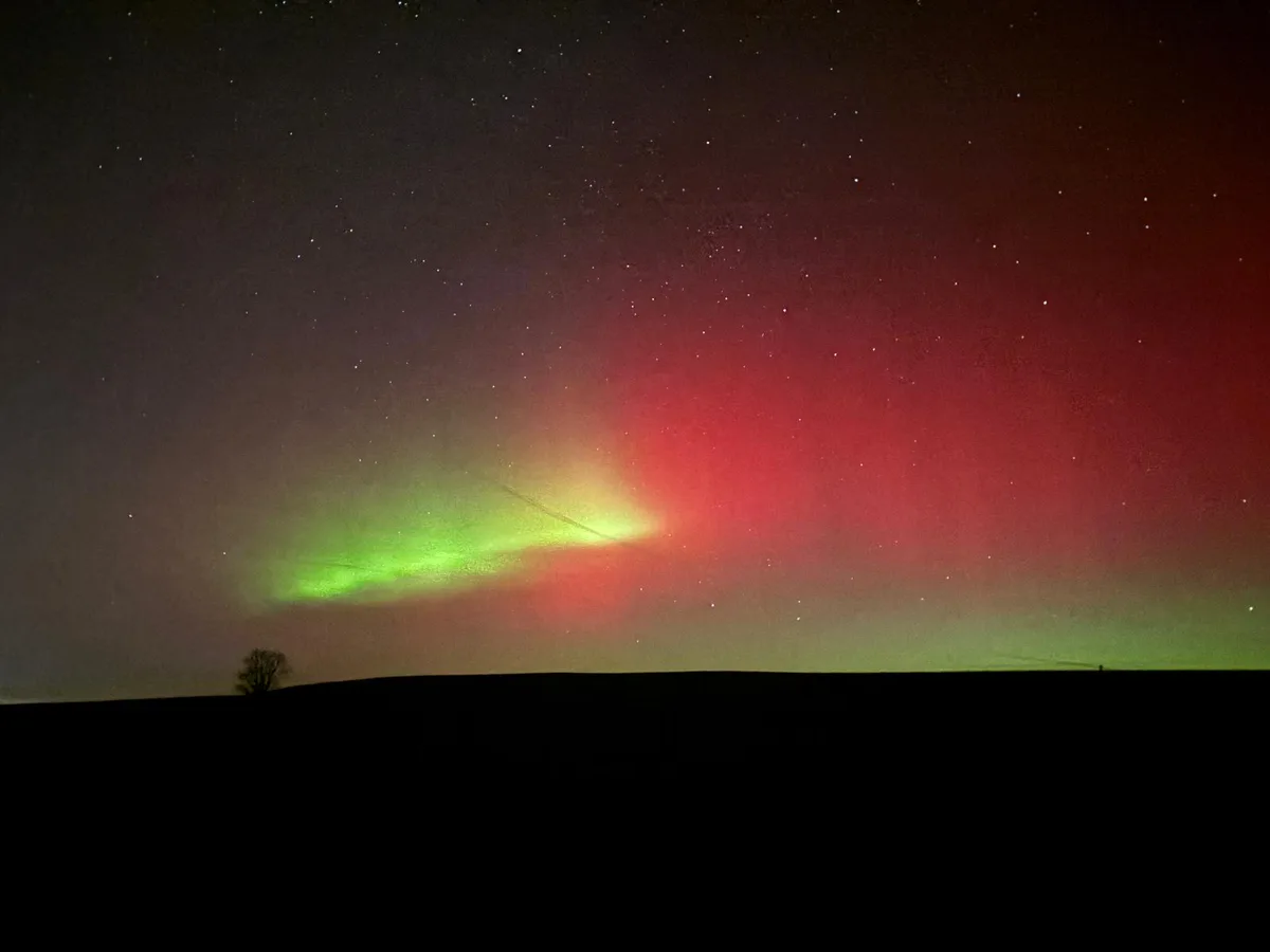 Man sieht grüne, violette und pinke Polarlichter am dunklen Nachthimmel.